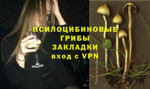 эйфоретик Алзамай