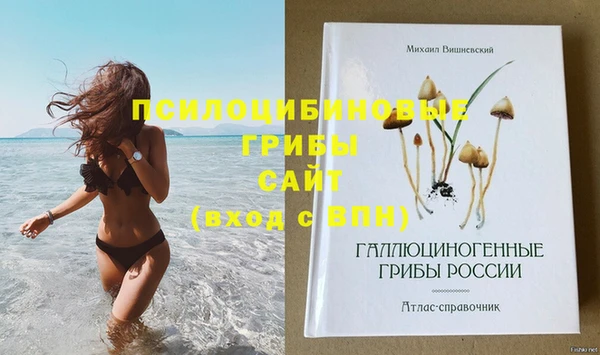 бошки Абинск