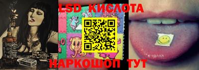 PSILOCYBIN Можга