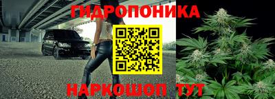 спиды Можайск